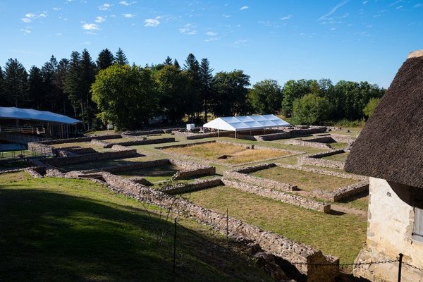 Quelles sont les meilleures recettes de plats légers pour les dîners d'été ?