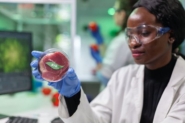 Comment préparer un menu végétarien complet pour un dîner élégant ?